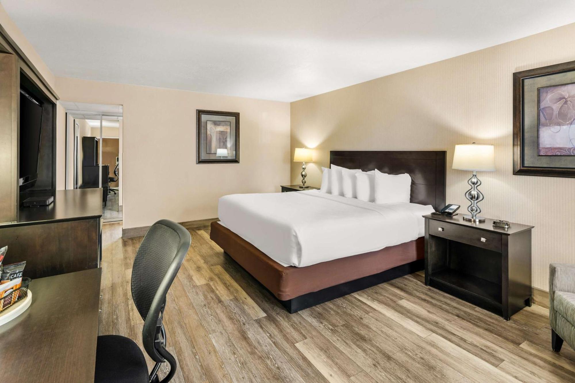 King Room Pet Friendly or Non-Smoking