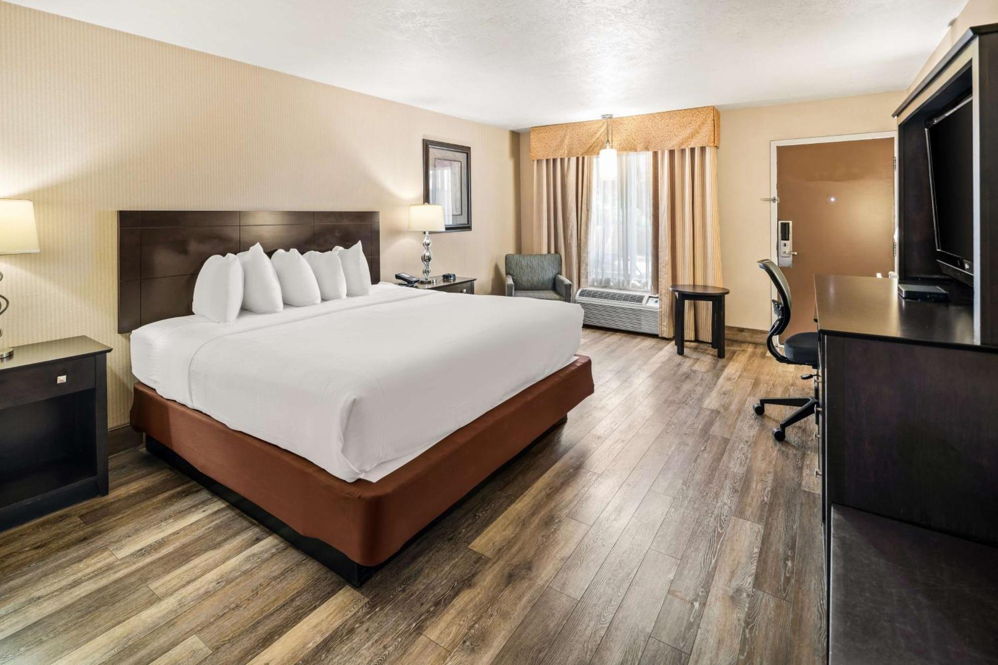 King Room Pet Friendly or Non-Smoking